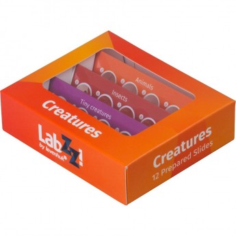 Набор микропрепаратов LEVENHUK LabZZ C12, существа Набор микропрепаратов LEVENHUK LabZZ C12, существа