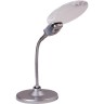 Лупа LEVENHUK ZENO DESK D5 70442 Лупа LEVENHUK ZENO DESK D5 70442