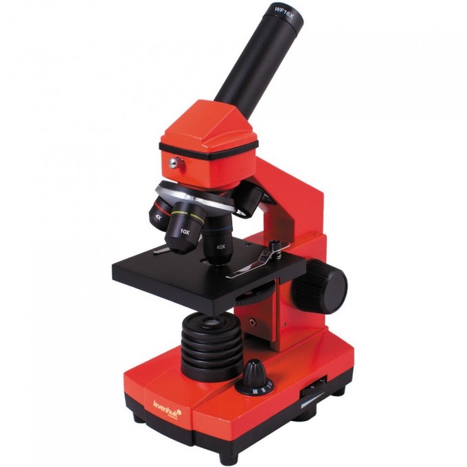 Микроскоп LEVENHUK Rainbow 2L PLUS Orange\Апельсин 69045 Микроскоп LEVENHUK Rainbow 2L PLUS Orange\Апельсин 69045